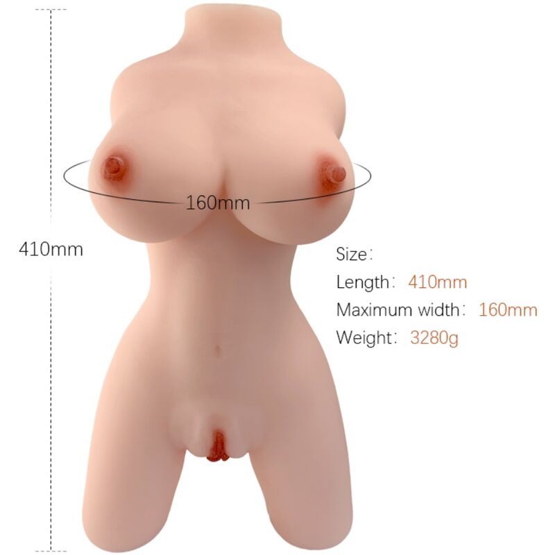 ARMONY - MODELLO DI TORSO FEMMINILE REALISTICO 4