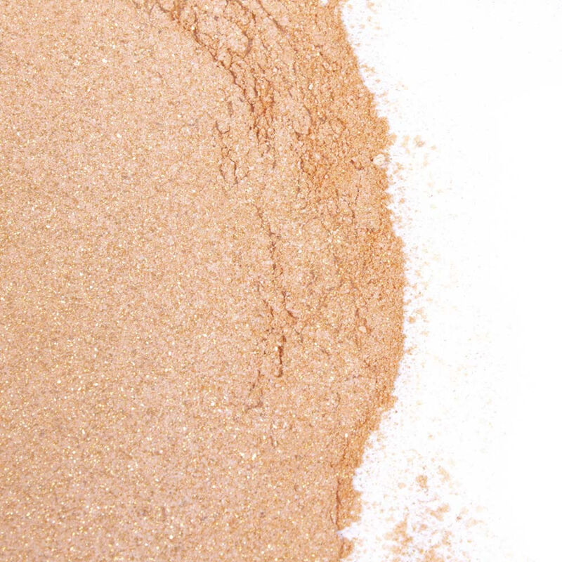 SECRETPLAY - GOLDEN LIGHT KIT POLVOS COMESTIBLES Y PLUMA CHOCOLATE AFRODISIACO