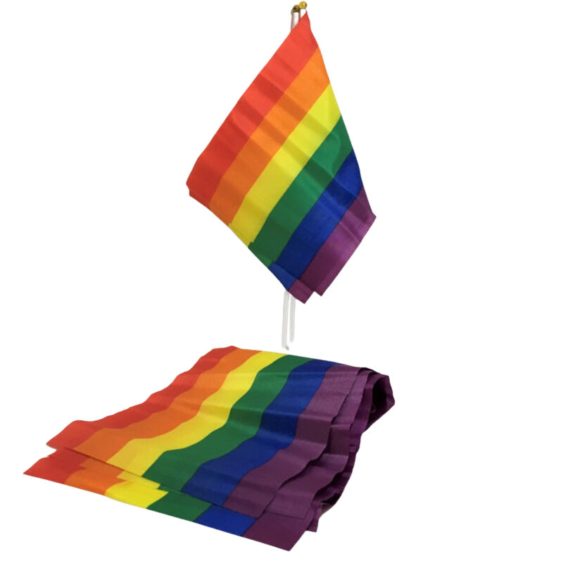 PRIDE - PICCOLO GEMELLO CON BANDIERA LGBT