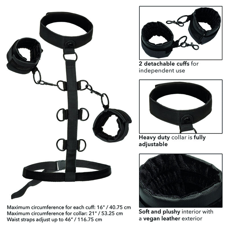 CALEXOTICS - SUPPORTO ILLIMITATO PER CORPO E COLLO