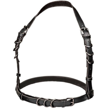 CALEXOTICS - IMBRACATURA EUPHORIA HATLER CON FIBBIA TAGLIA GRANDE NERA