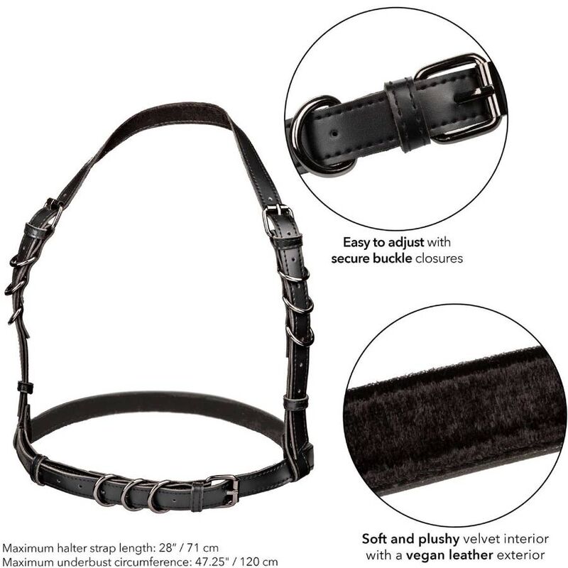 CALEXOTICS - IMBRACATURA EUPHORIA HATLER CON FIBBIA TAGLIA GRANDE NERA