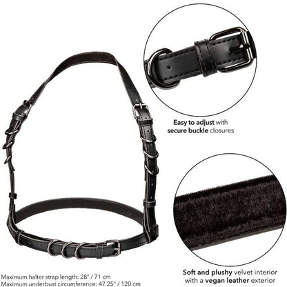 CALEXOTICS - IMBRACATURA EUPHORIA HATLER CON FIBBIA TAGLIA GRANDE NERA
