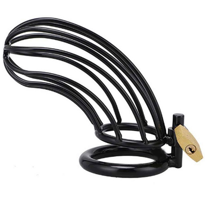 GABBIA DI CASTITÀ CON ANELLO IN METALLO DURO - BLACK BIRD