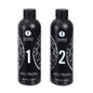 SHUNGA - GEL PER MASSAGGIO EROTICO CORPO-CORPO ORIENTALE CON FRAGOLE E CAVA 